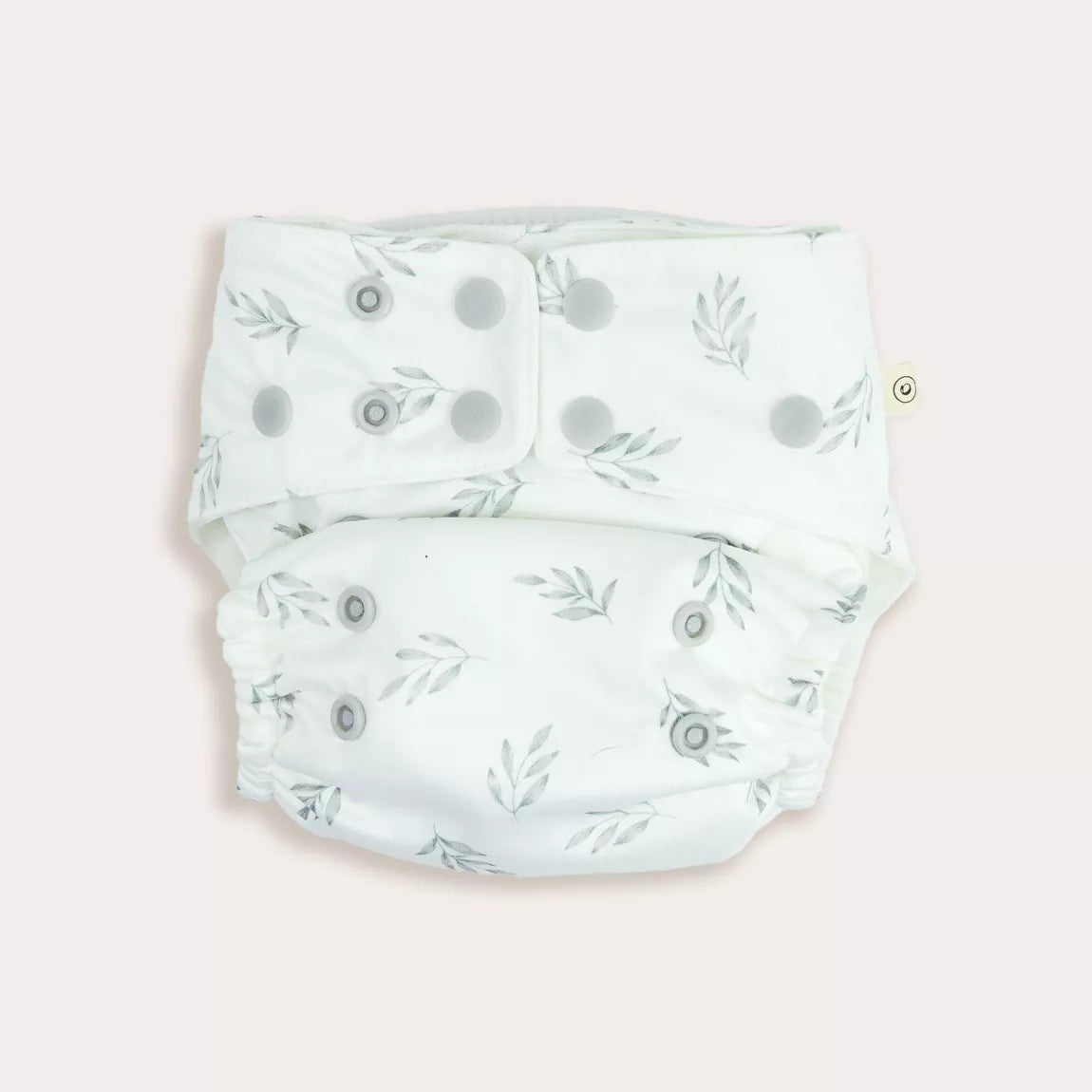 EcoNaps Blue Gum 2.0 Modern Cloth Nappy x 1 Econaps