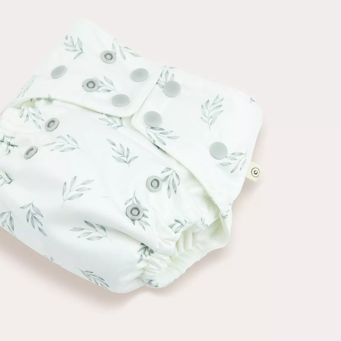 EcoNaps Blue Gum 2.0 Modern Cloth Nappy x 1 Econaps