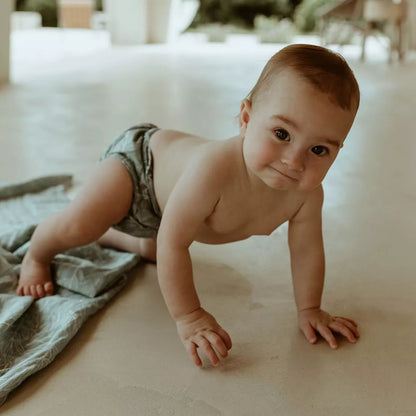 EcoNaps Willow 2.0 Modern Cloth Nappy Econaps